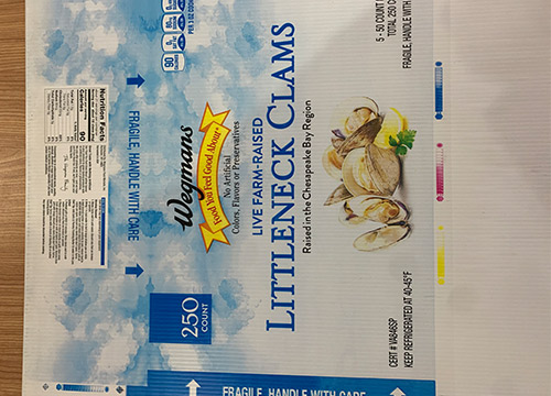 中空板彩色箱市場持續增長，企業如何應對市場變化？